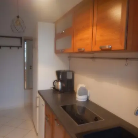 Apartment City Center Lux